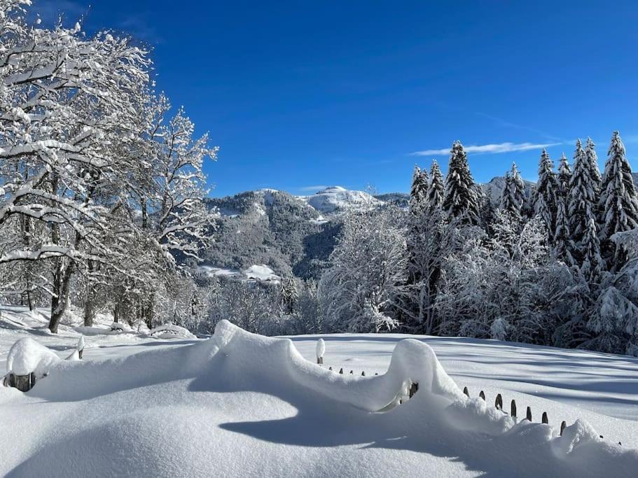 Chalet Alpage Proche Geneve Megevette Экстерьер фото