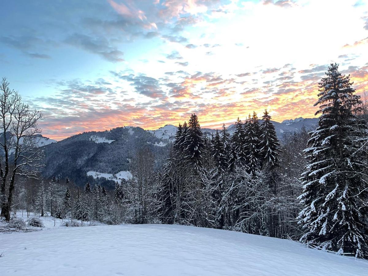 Chalet Alpage Proche Geneve Megevette Экстерьер фото