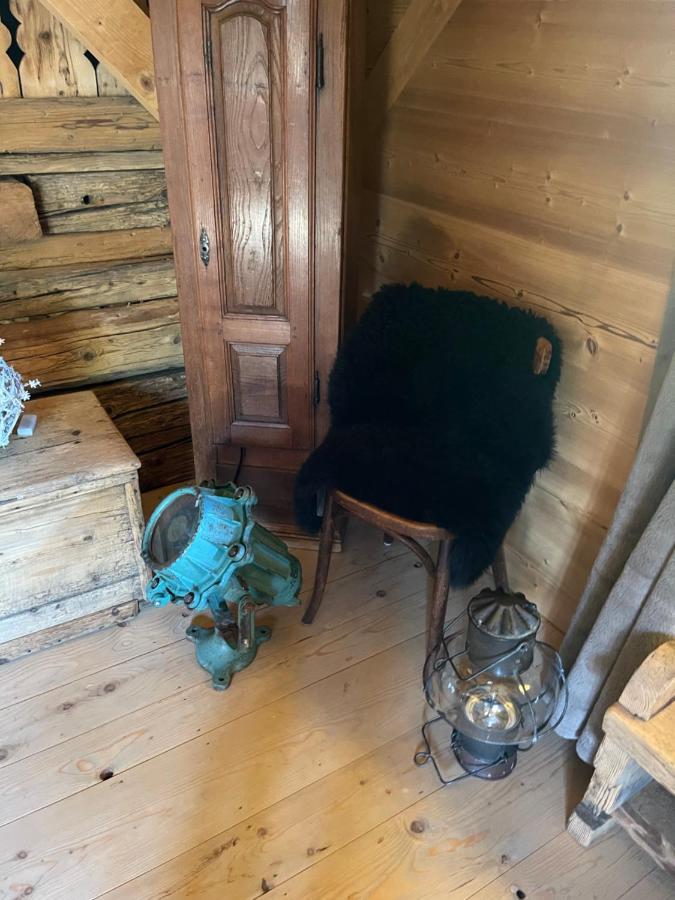 Chalet Alpage Proche Geneve Megevette Экстерьер фото